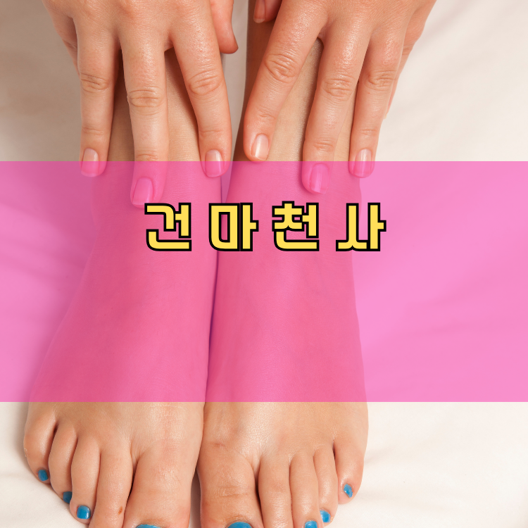 대덕동 경기 지역 안내